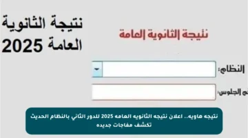 نتيجة هاوية.. إعلان نتيجة الثانوية العامة 2025 للدور الثاني بالنظام الحديث تكشف مفاجآت جديدة